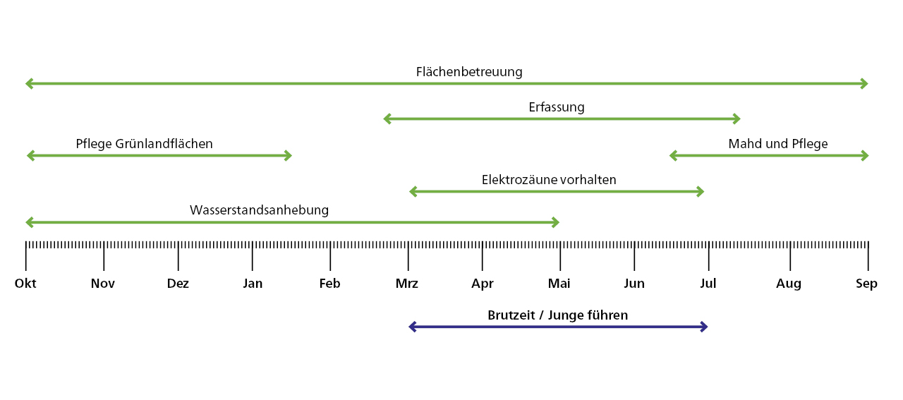 Zeitschiene