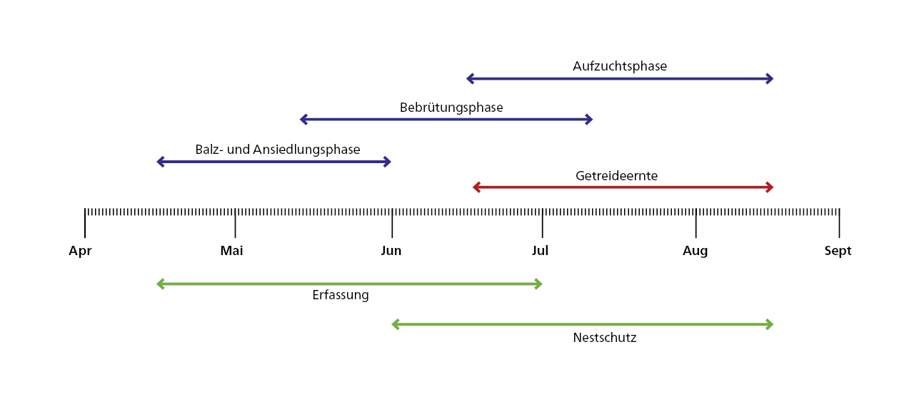 Zeitschiene